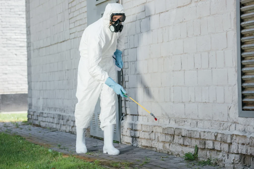 control de plagas en Ciudad Bolívar