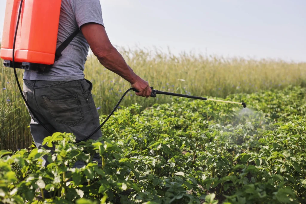 empresa de fumigacion en Ciudad Bolívar
