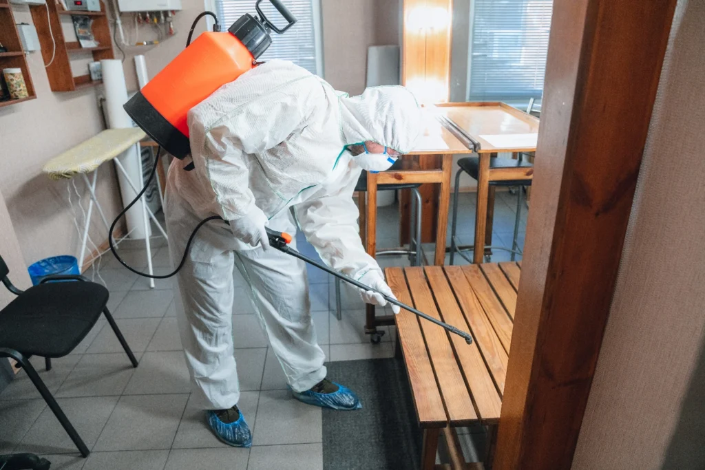 Cómo eliminar insectos de la casa de forma efectiva