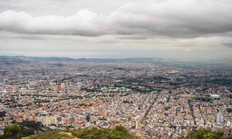 cucarachas en colegios y guarderías de Bogotá