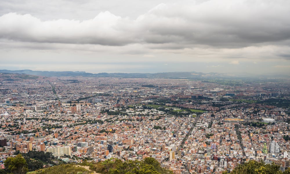 cucarachas en colegios y guarderías de Bogotá