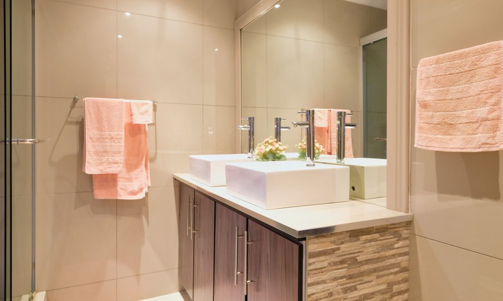 pececillos de plata en el baño
