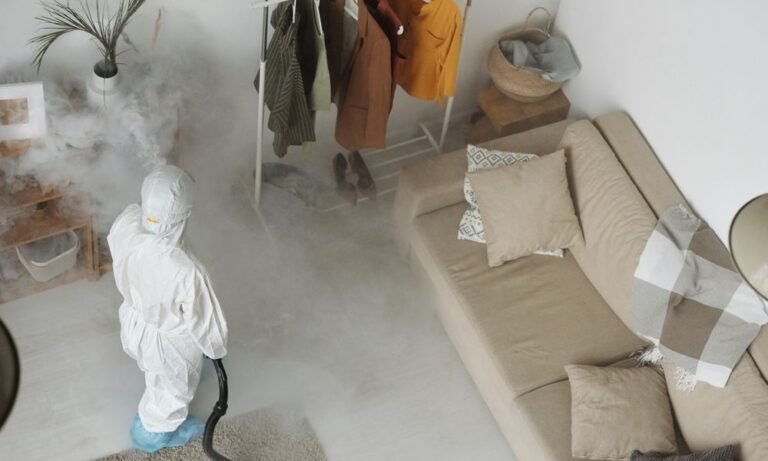 cuánto cuesta fumigar pulgas