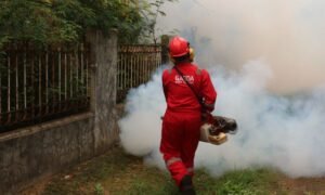 cuánto cuesta fumigar zancudos
