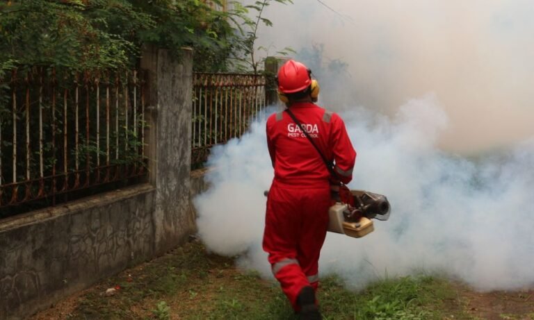 cuánto cuesta fumigar zancudos