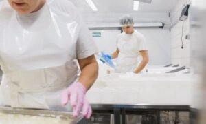 buenas prácticas de manufactura