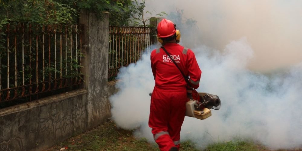 cuánto cuesta fumigar zancudos